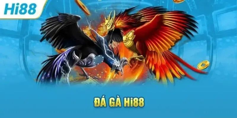 Sảnh game đá gà hi88 lôi cuốn, kịch tính